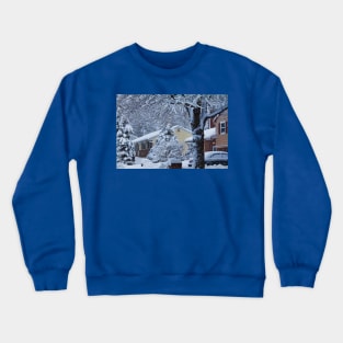 Falling Snow Crewneck Sweatshirt